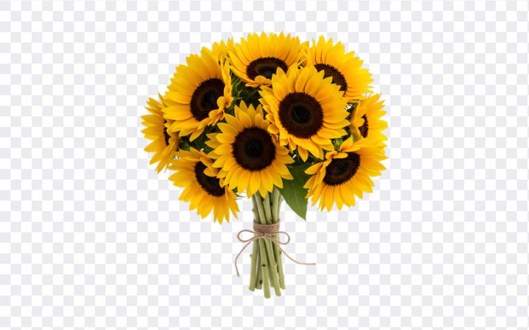 Sunflower Bouquet, Sunflower, Sunflower Bouquet PNG, Flower PNG, Flowers, PNG, PNG Images, Transparent Files, png free, png file, Free PNG, png download, PNG Image Hub,
